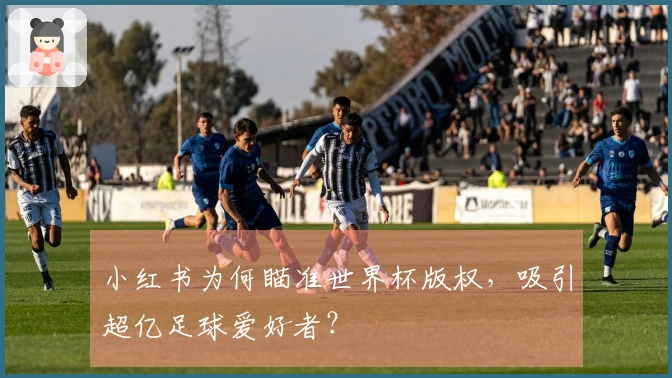 小红书为何瞄准世界杯版权，吸引超亿足球爱好者？